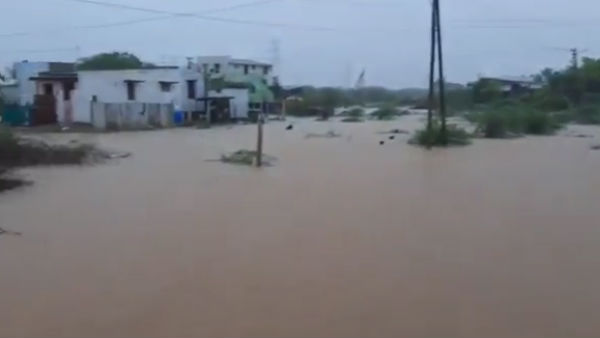 வைரல் வீடியோ