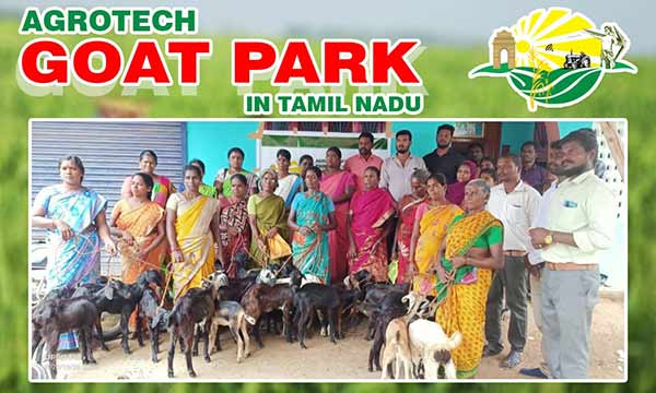 Agrotech companys Goat Bank for farmers Agrotech companys Goat Bank for farmers
