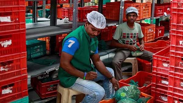 Big Basket Grocery Shopping recruits job offers Big Basket Grocery Shopping recruits job offers