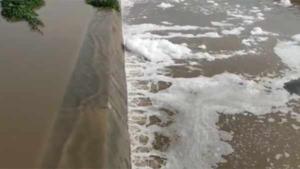 வைகை ஆற்றோர பகுதி