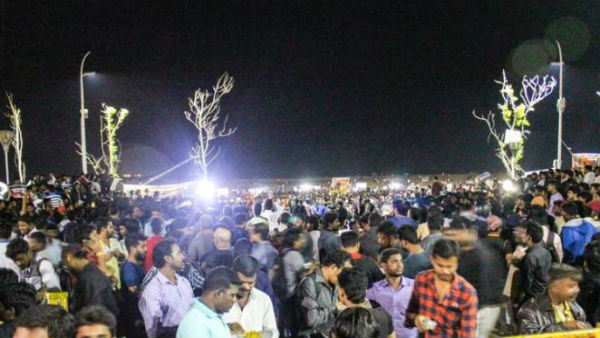 ஜல்லிக்கட்டு