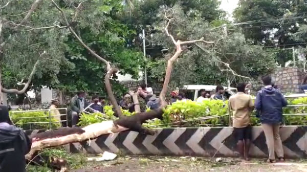 நேற்று துண்டிப்பு