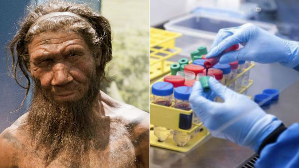 neanderthal-4565-1605766382.jpg