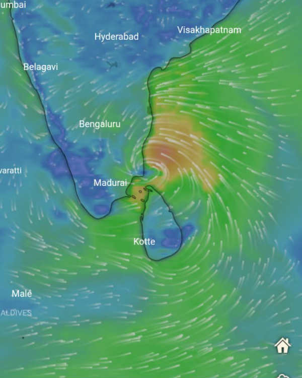 அரபிக் கடல்