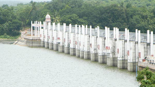 Poondi Lake surplus water released from Today Poondi Lake surplus water released from Today
