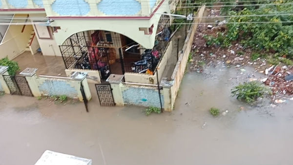 பேருந்துகள்