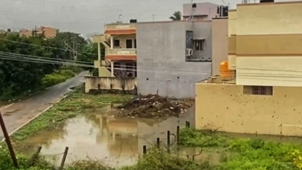 மரங்கள் விழுந்தன