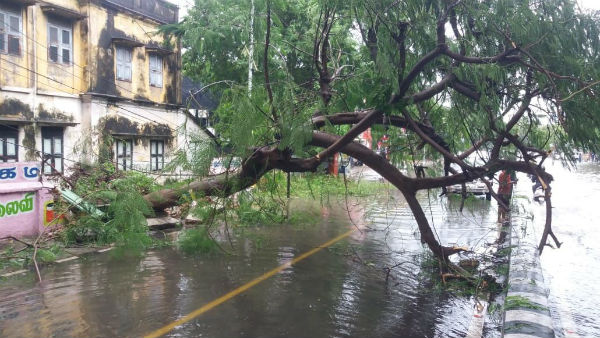Nivar Cyclone has claimed 3 lives so far Nivar Cyclone has claimed 3 lives so far