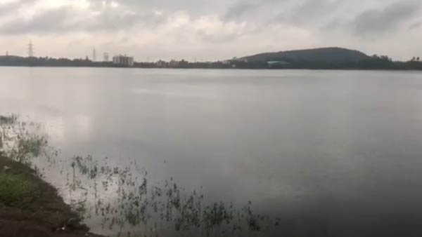 ஆய்வு
