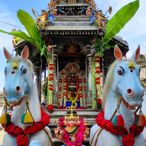 சூர சம்ஹாரம் கோலாகலம்