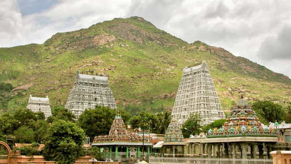 Thiruvannamalai Karthigai Deepam Festival: Devotees demand Therottam Thiruvannamalai Karthigai Deepam Festival: Devotees demand Therottam