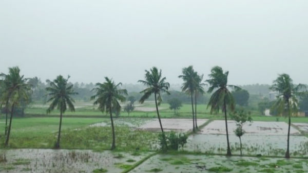 67செமீ மழை