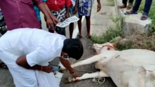 விஜயபாஸ்கர்