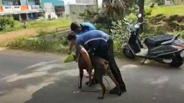 எஸ்பி நேரில் விசாரணை