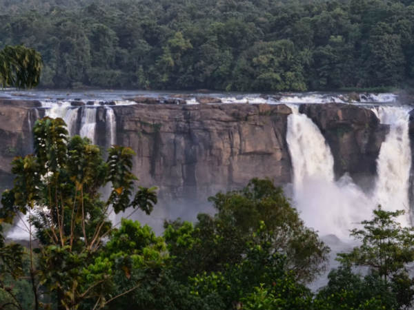 ஆற்றில் முதலை