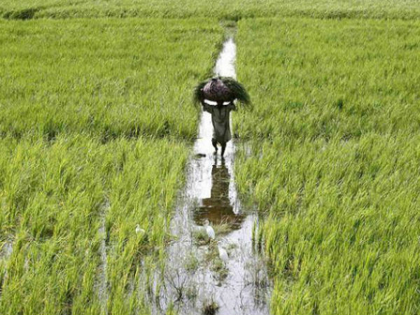 காவல் நிலையத்தில் புகார்
