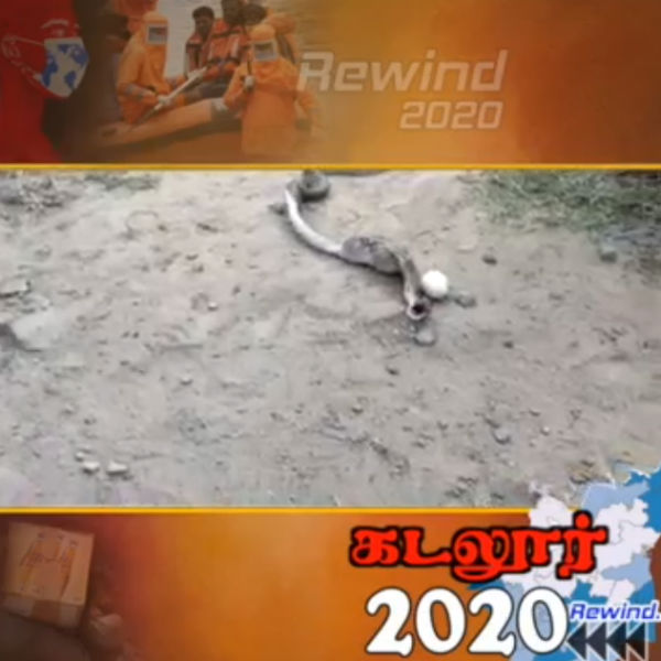 இன்ஸ்பெக்டர் வனஜா