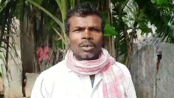 பாம்பு கடி