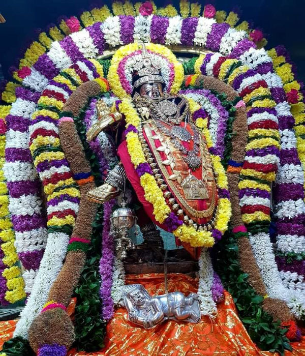 திருவாதிரை திருவிழா