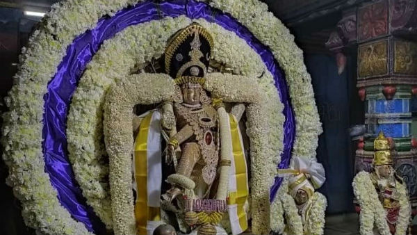 நடராஜர் தரிசனம்