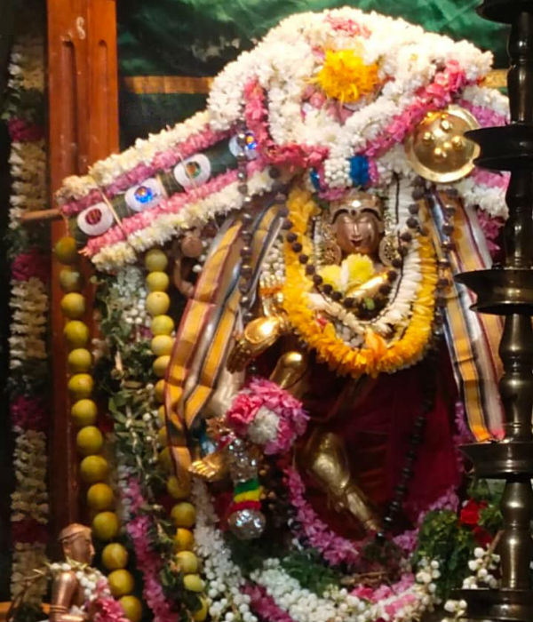 நடராஜர் கோவில் ஆருத்ரா தரிசனம்