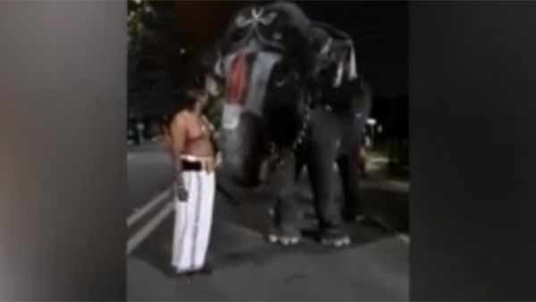 ஸ்ரீரங்கத்து ஆண்டாள் யானை