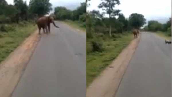 Rewind 2020- Top 10 incidents happened in Erode district Rewind 2020- Top 10 incidents happened in Erode district