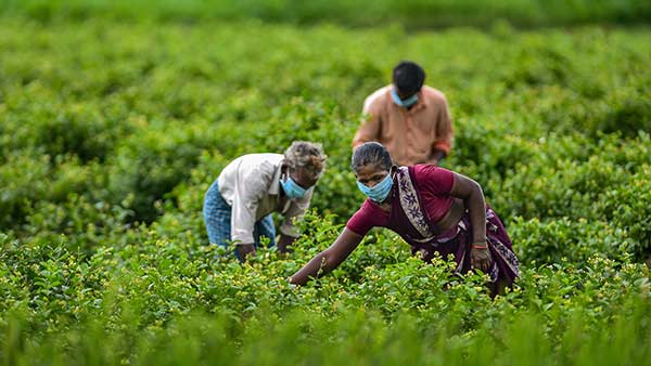 யாரும் பார்த்துக்கொள்ளவில்லை