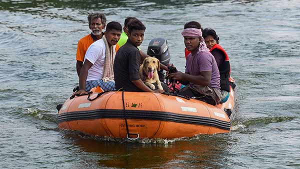 மக்கள் தவிப்பு
