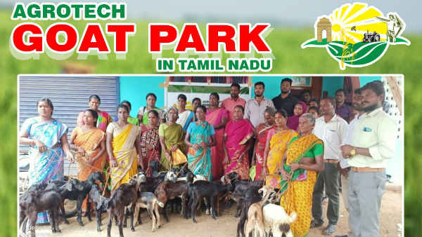 Agrotechs Business Opportunity for Goat Farming Agrotechs Business Opportunity for Goat Farming