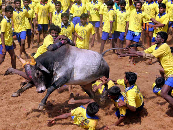 அறிவிப்பு