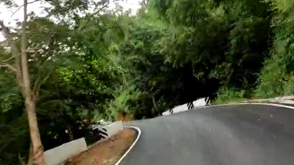 எம்ஜிஆர் போட்ட விதை