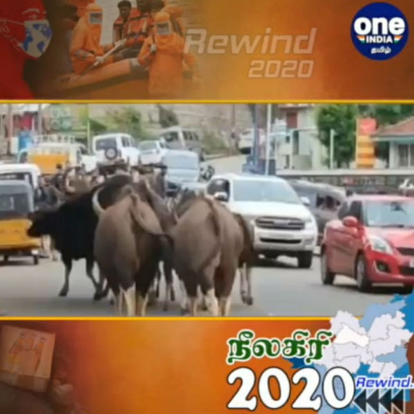 Many unforgettable videos has recorded, in Ooty Many unforgettable videos has recorded, in Ooty