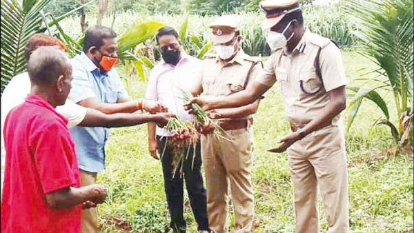 Small onions grown in the garden at the Trichy jail premises, per kg Rs. 80 Small onions grown in the garden at the Trichy jail premises, per kg Rs. 80