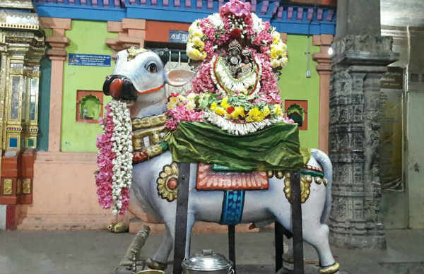 Karthigai matha Sani Pradosam on Today December 12,2020 Viratham and benefits Karthigai matha Sani Pradosam on Today December 12,2020 Viratham and benefits