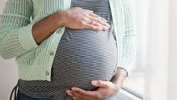 ஜீரண சுரப்பி