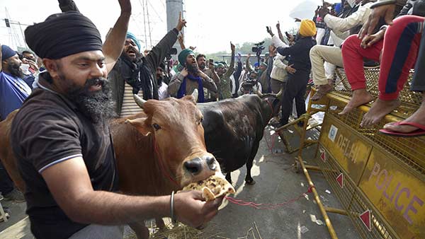 Delhi chalo Farmers Protests Day 7 : Next Meet With Govt on 3 Dec Delhi chalo Farmers Protests Day 7 : Next Meet With Govt on 3 Dec