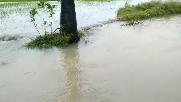 அடிப்படை வசதிகள்