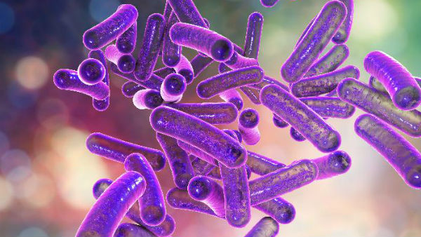 6 cases of Shigella infection in Kerala, one dead 6 cases of Shigella infection in Kerala, one dead