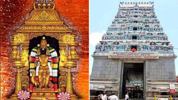 அதிரடி உத்தரவு