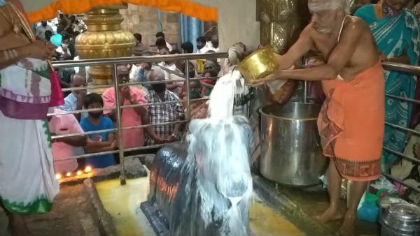 Poojas held in Saneeshwarar Temple in Thirunallar Poojas held in Saneeshwarar Temple in Thirunallar