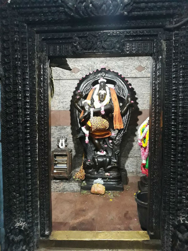 கோலாகல தோரோட்டம்