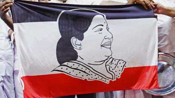 சிங்கக்குட்டிகள்