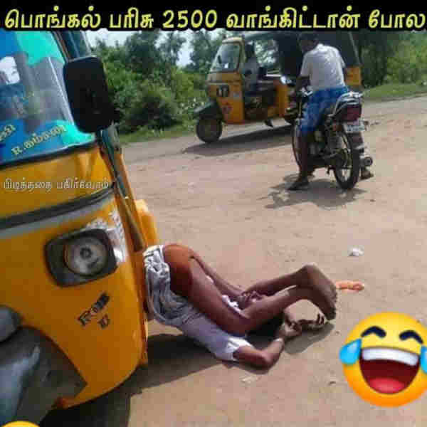 பொங்கல் பரிசு