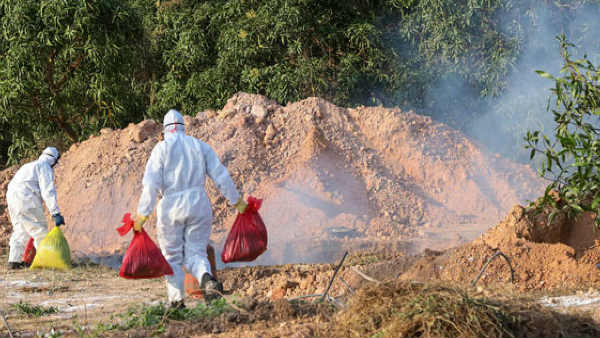 Bird flu threatens Nepal, kills more than 2,000 birds Bird flu threatens Nepal, kills more than 2,000 birds