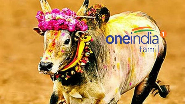 கால்நடைகளுக்கு நன்றி