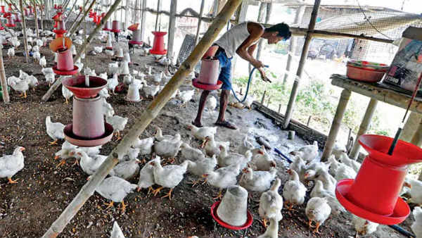 பண்ணை உரிமையாளர்கள் வேதனை