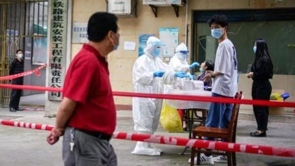 Is this how corona virus spread to humans?: Wuhan lab scientists admit being bitten by Covid-infected bats Is this how corona virus spread to humans?: Wuhan lab scientists admit being bitten by Covid-infected bats
