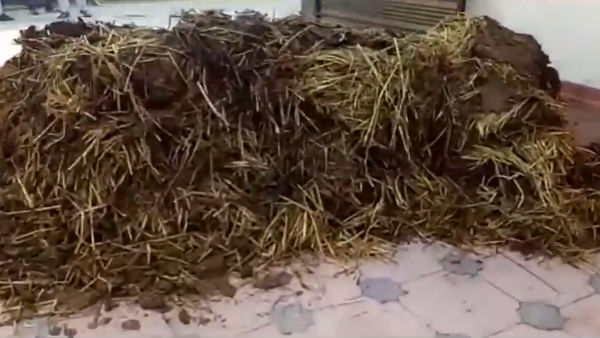Cow dung dumped outside Punjab BJP leader Tikshan Soods residence Cow dung dumped outside Punjab BJP leader Tikshan Soods residence