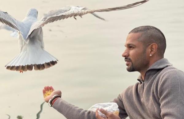 Dhawan feeds birds amid bird flu in Varanasi Dhawan feeds birds amid bird flu in Varanasi